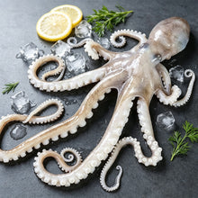 Load image into Gallery viewer, Whole Octopus