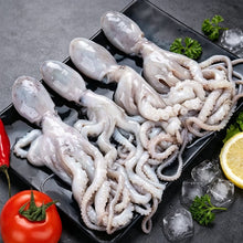 Load image into Gallery viewer, Whole Octopus
