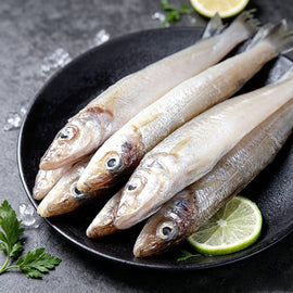 Small Sea Fish