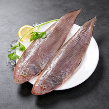 Load image into Gallery viewer, Sole Fish