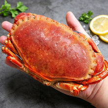 Load image into Gallery viewer, Brown Crab
