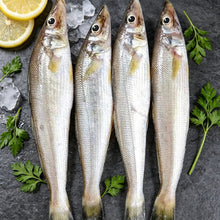Load image into Gallery viewer, Small Sea Fish
