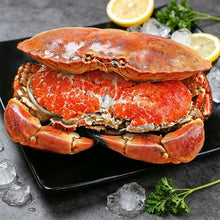 Load image into Gallery viewer, Brown Crab