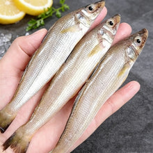 Load image into Gallery viewer, Small Sea Fish