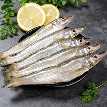 Load image into Gallery viewer, Small Sea Fish