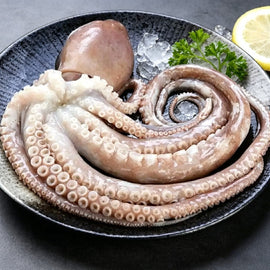 Whole Octopus