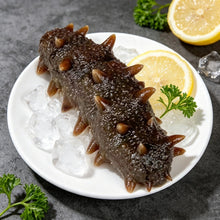 Load image into Gallery viewer, Sea Cucumber